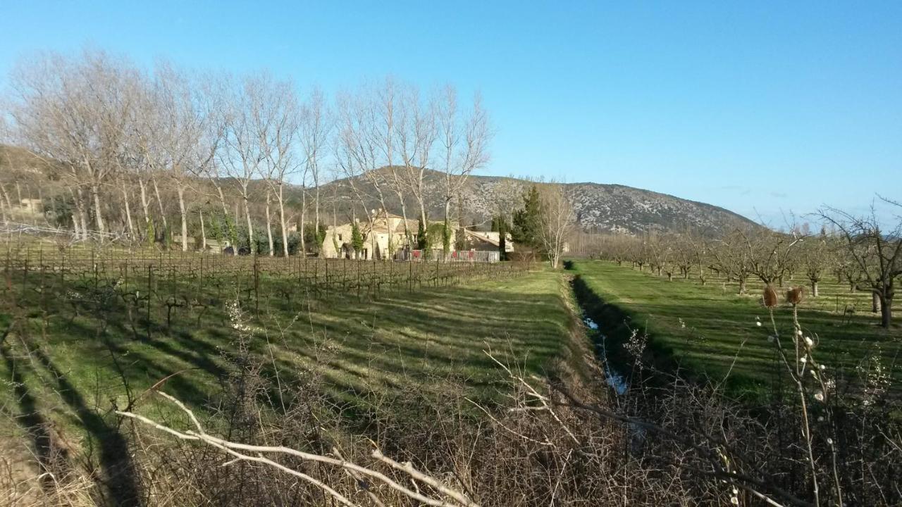 Gite Aux Tournesols Malaucène Exterior foto
