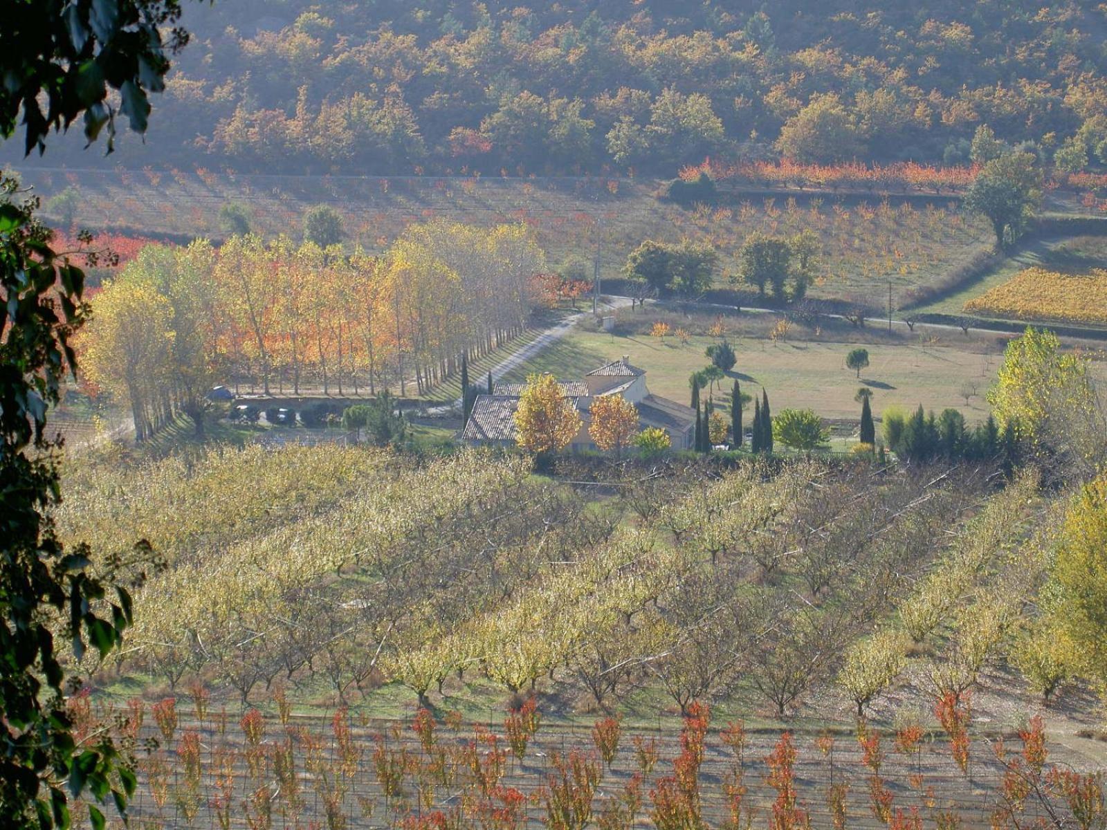 Gite Aux Tournesols Malaucène Exterior foto